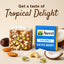 Coconut Dates Barfi